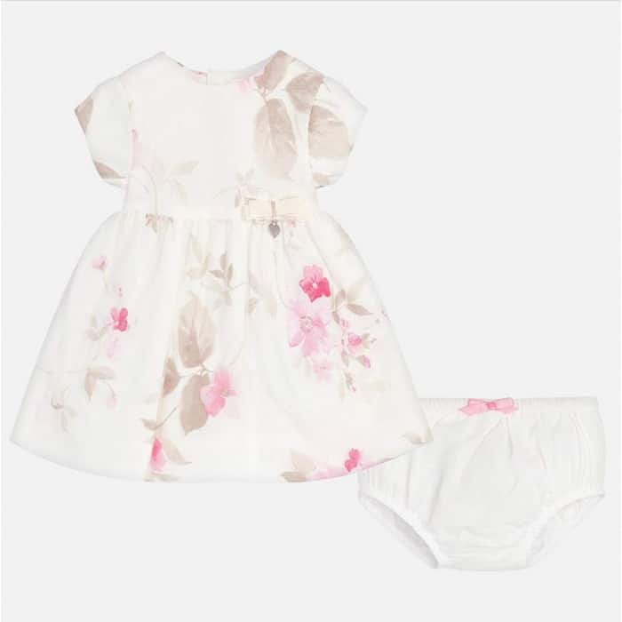 Rochita Camelia 1821